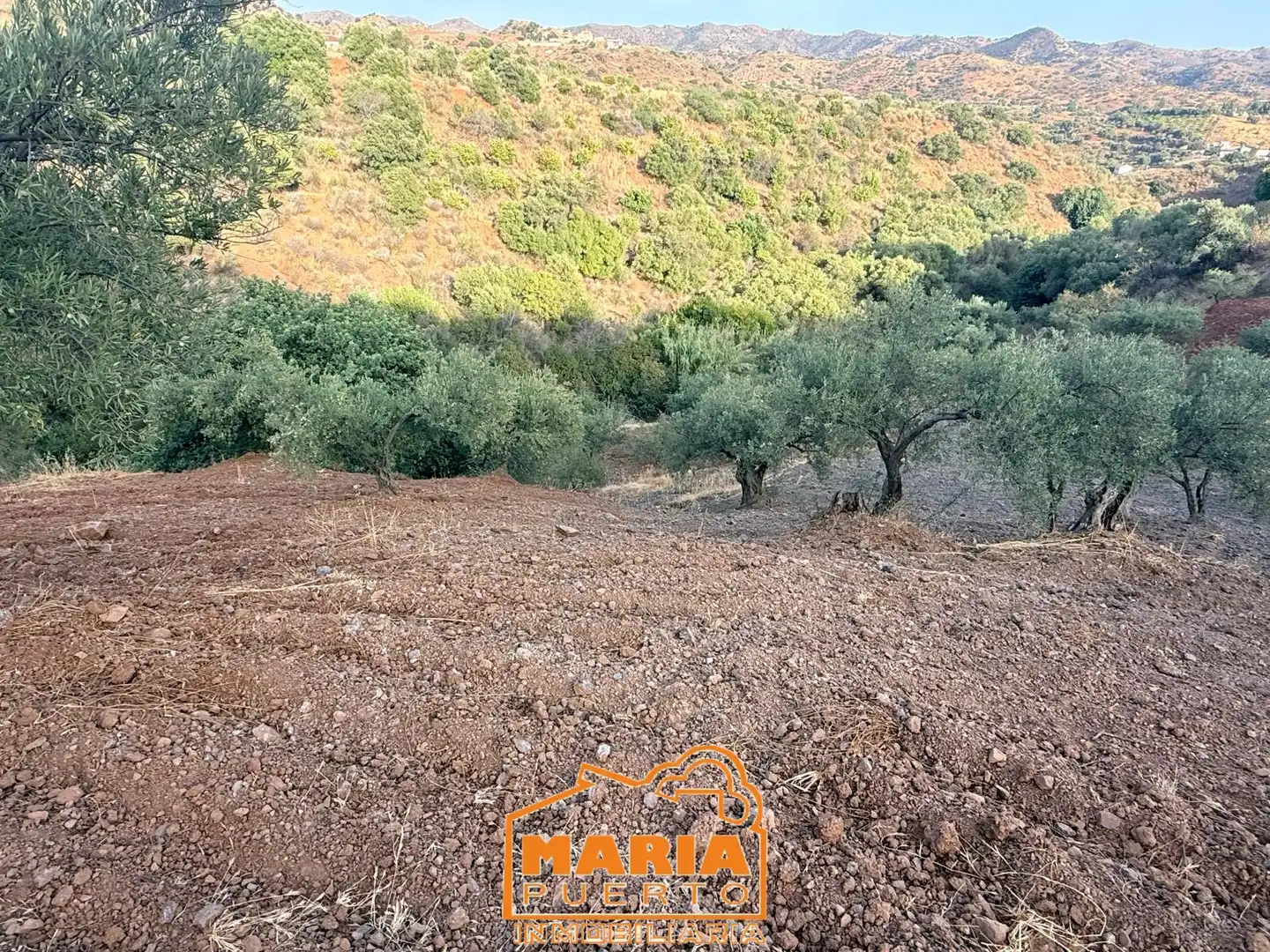 Terreno rustico in vendita a Almogía, imagen 8