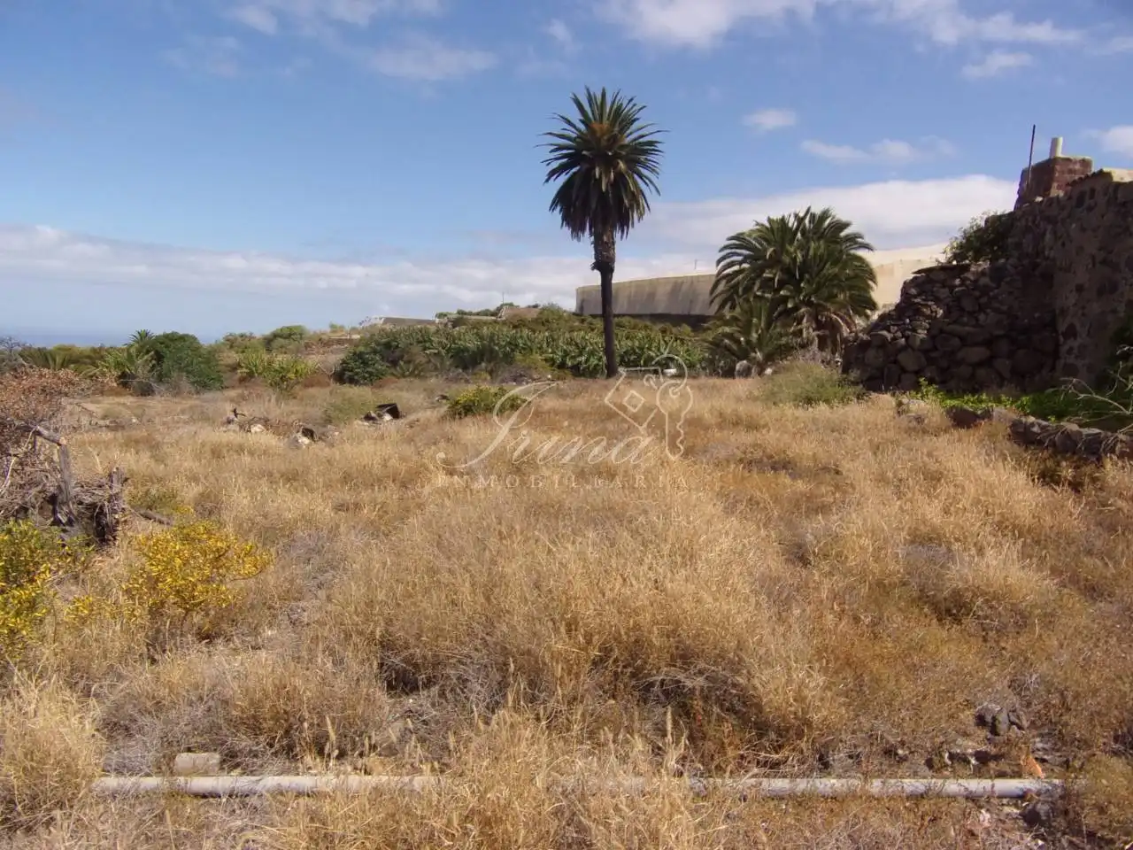 Finca rústica en venta en Tijarafe