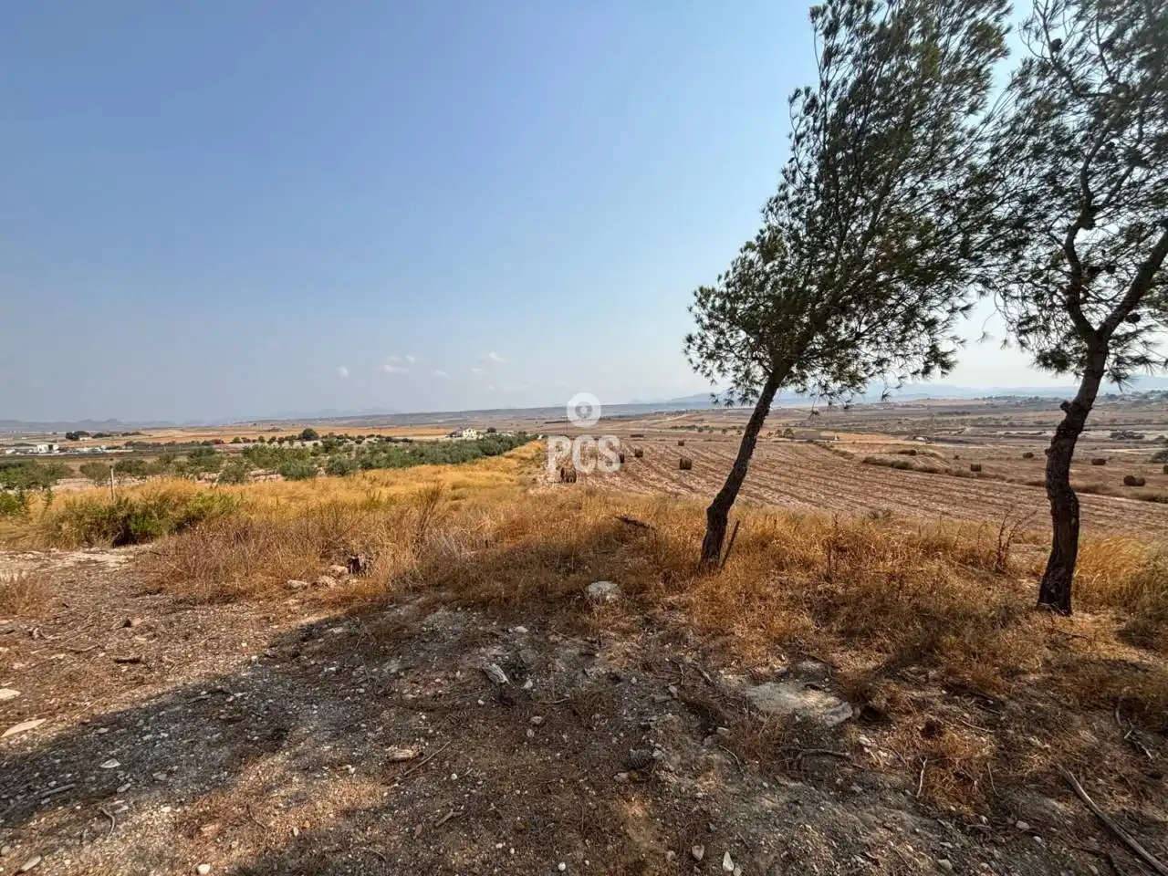 Detached house with pool for sale in Calle Zona El Pareton - Cantareros S/N, imagen 6