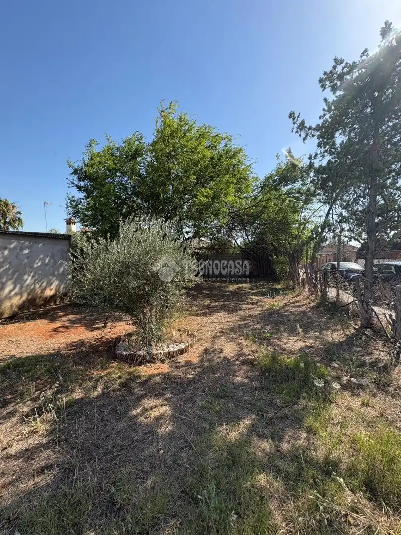 Casa o xalet en venda en La Rinconada amb Jardí privat