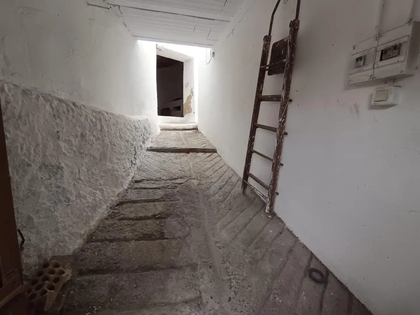 Finca rústica en venta en Canillas de Aceituno