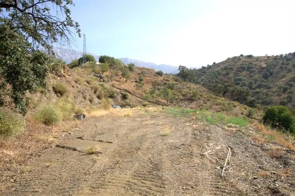 Terreno rústico en venta en Sedella