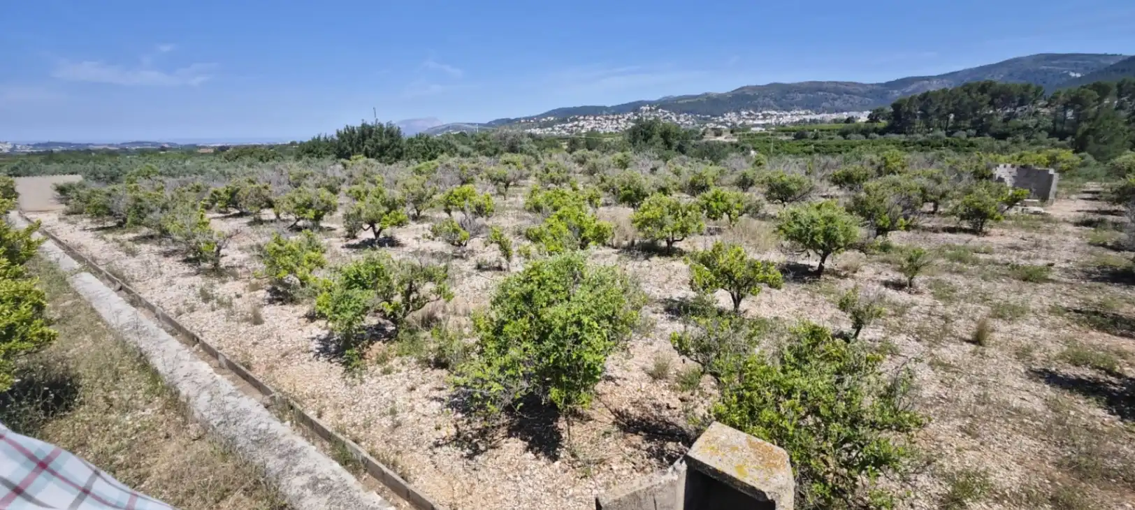 Residential land for sale in Tormos, imagen 7