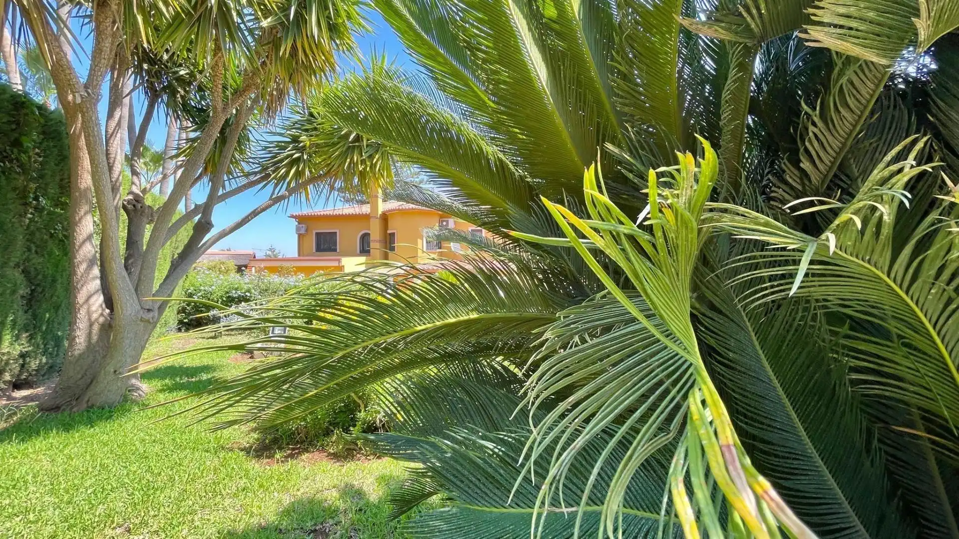 Jardí de Casa o xalet en venda en Alhaurín de la Torre amb Aire condicionat, Jardí privat i Terrassa