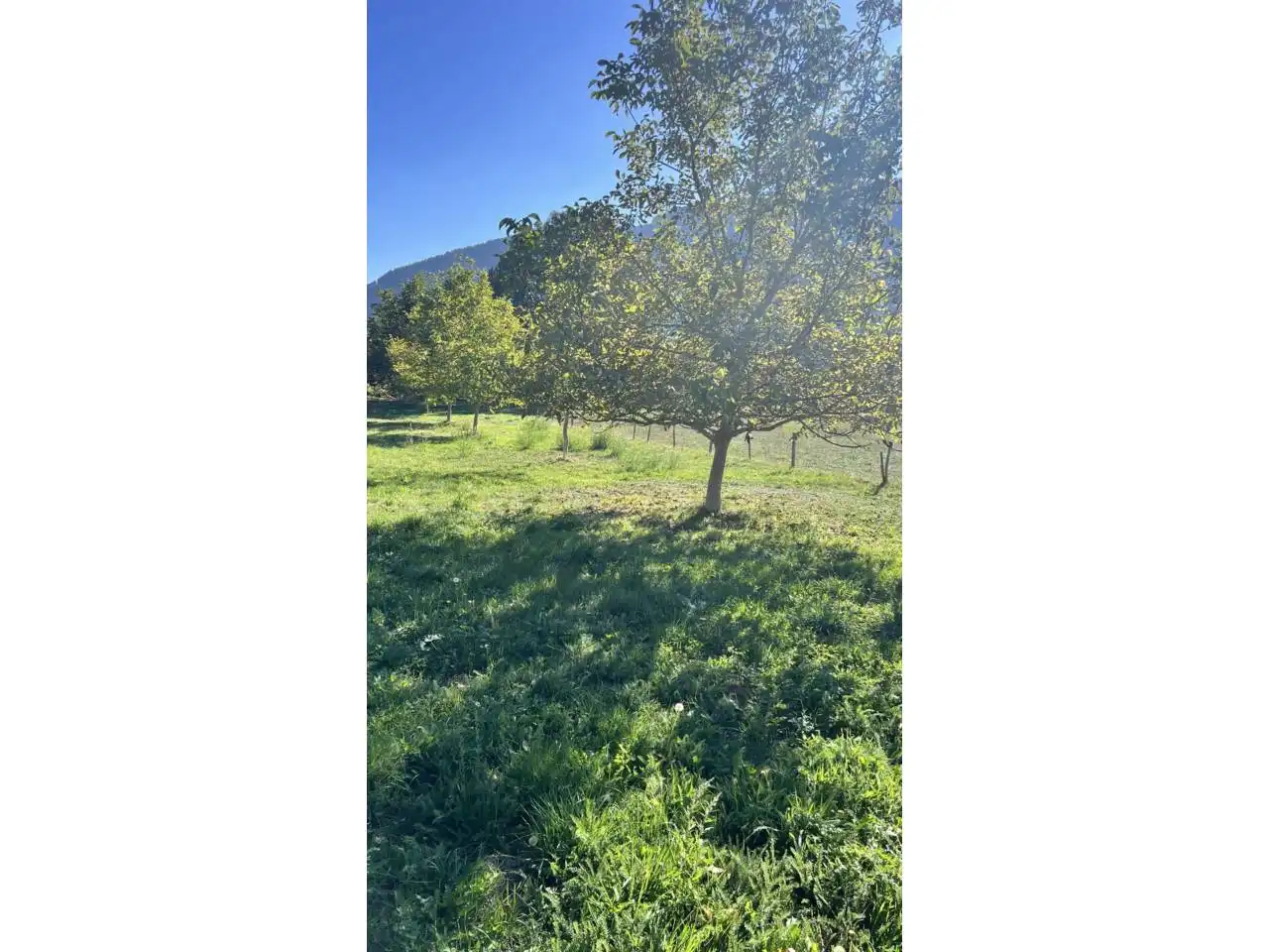 Casa o xalet en venda en Espinosa de los Monteros amb Jardí privat, Terrassa i Moblat
