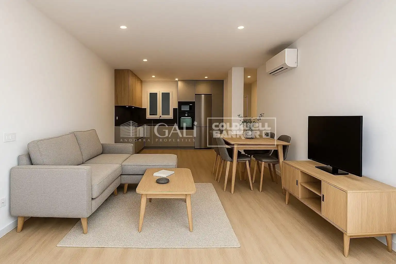 Sala de estar de Piso de alquiler en Andorra la Vella con Aire acondicionado, Calefacción y Terraza