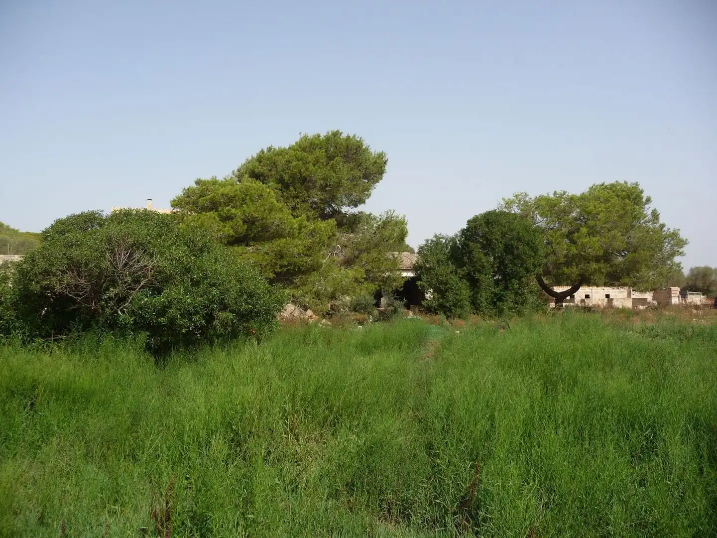 Finca rústica en venda a Son Ferriol