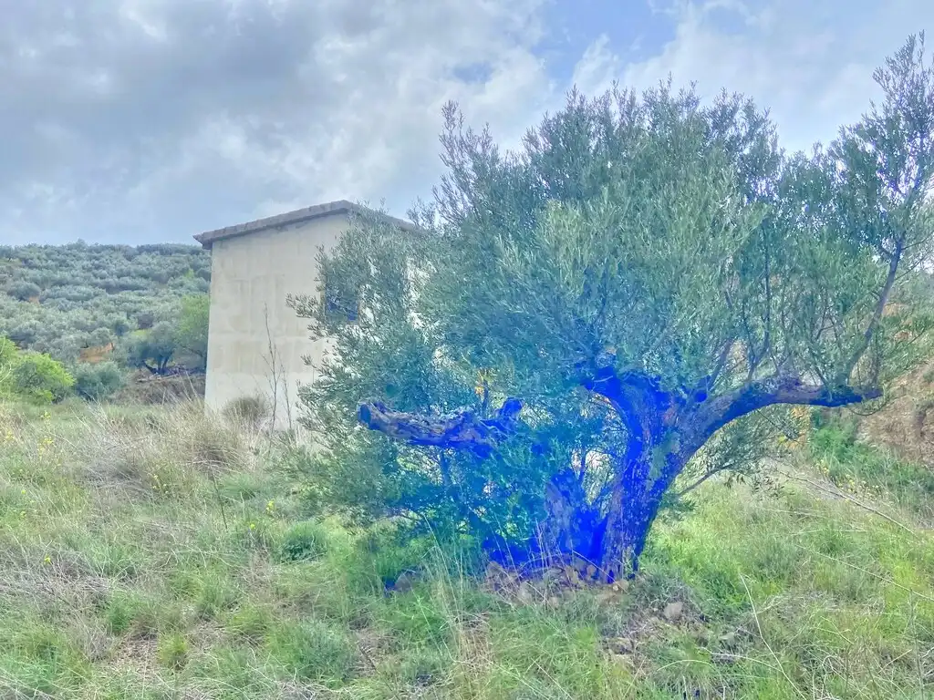 Casa rústica con jardín en venta en Colmenar, imagen 22
