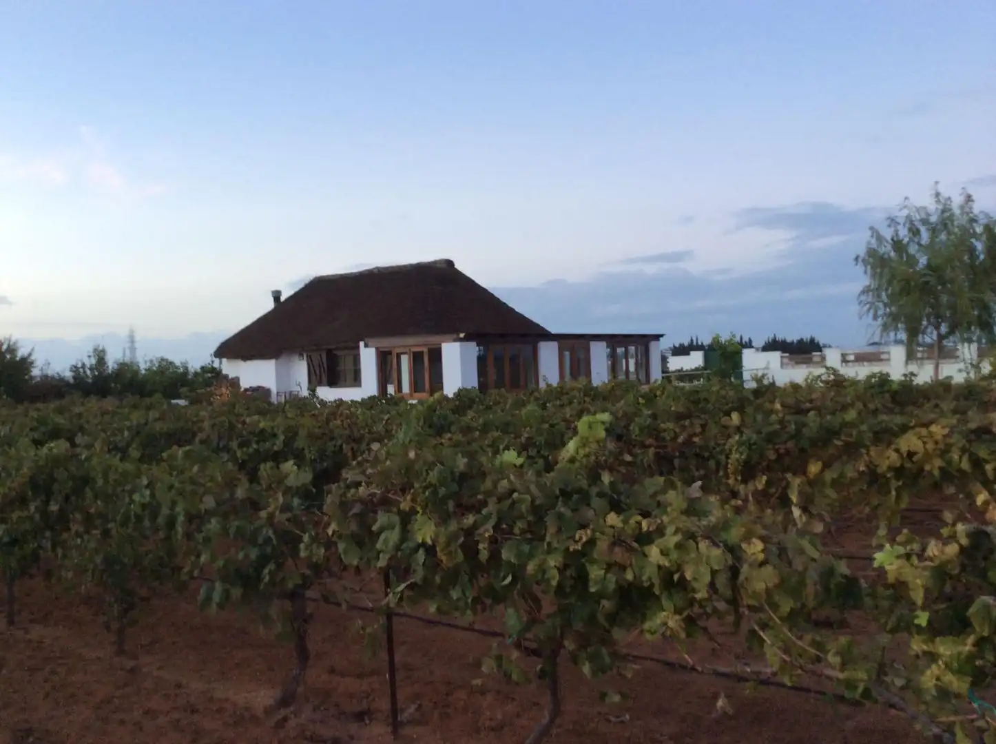 Terreny en venda en Chipiona Norte