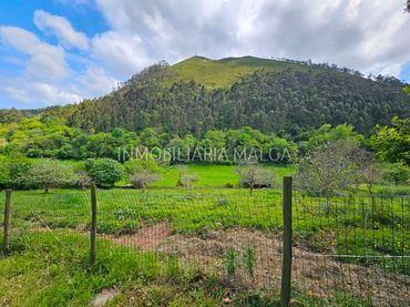 Terrain résidentiel à vendre à Plaza de Pumarín 704