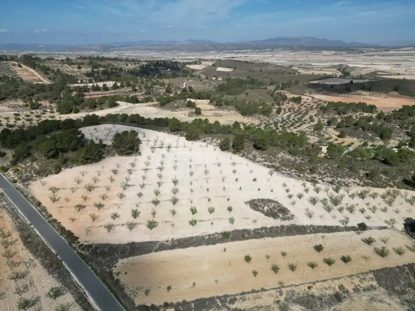 Terreny residencial en venda a Jumilla, imagen 10
