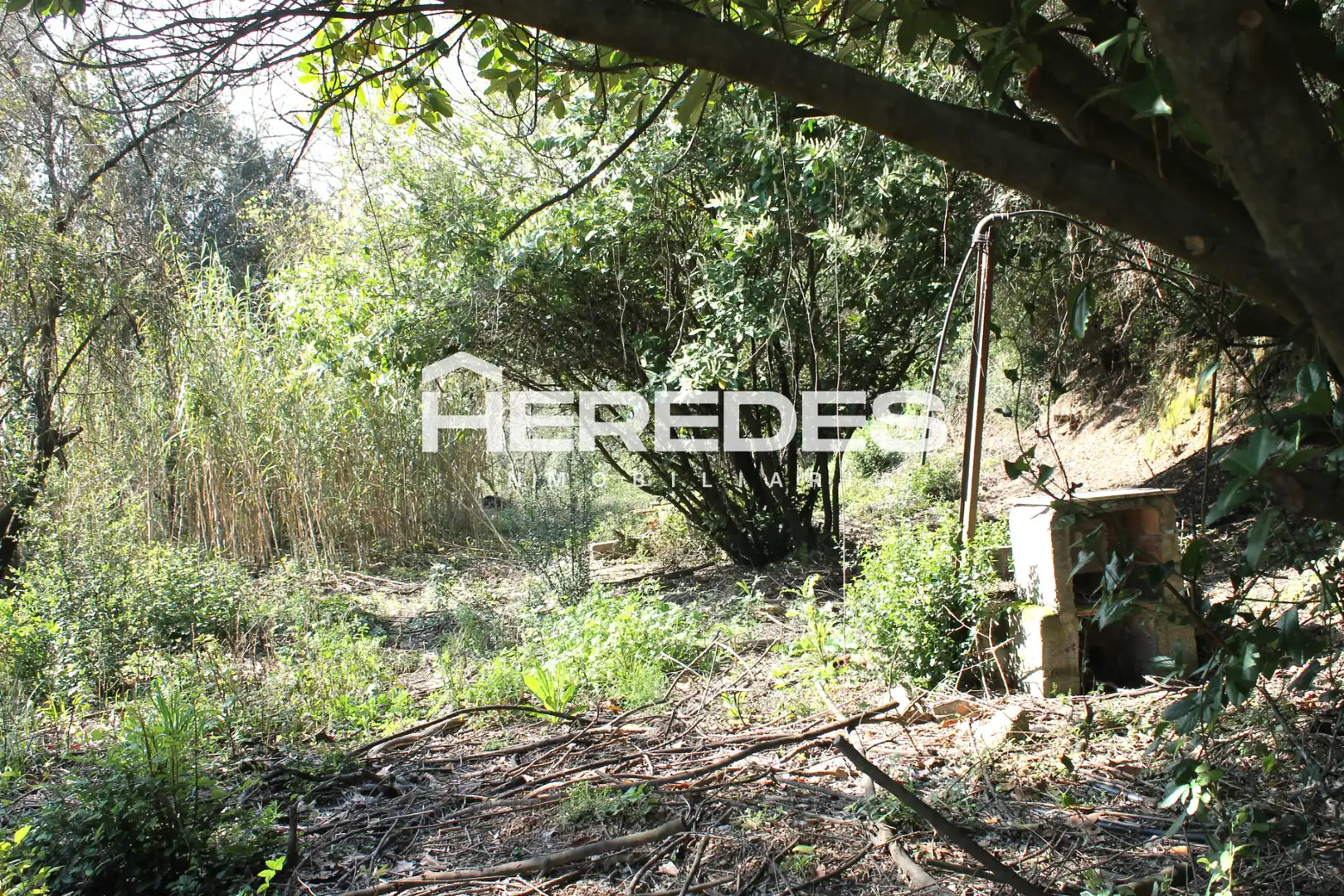 Casa con jardín en venta en Torrelles de Llobregat, imagen 44