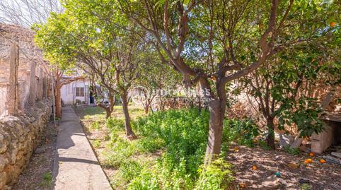 Photo 5 of House or chalet for sale in Calle Son Amengual, Alaró, Illes Balears