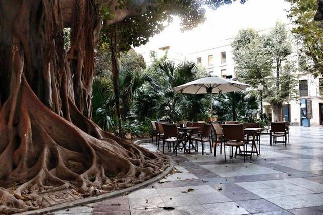 Local comercial en Alquiler en Barrio del Centro