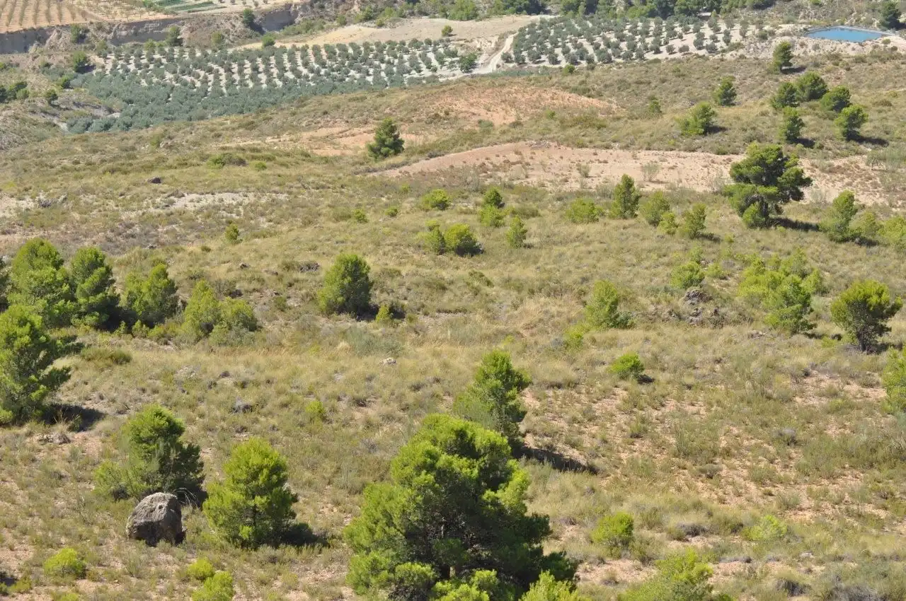 Grundstücke zum Verkauf in Urrácal