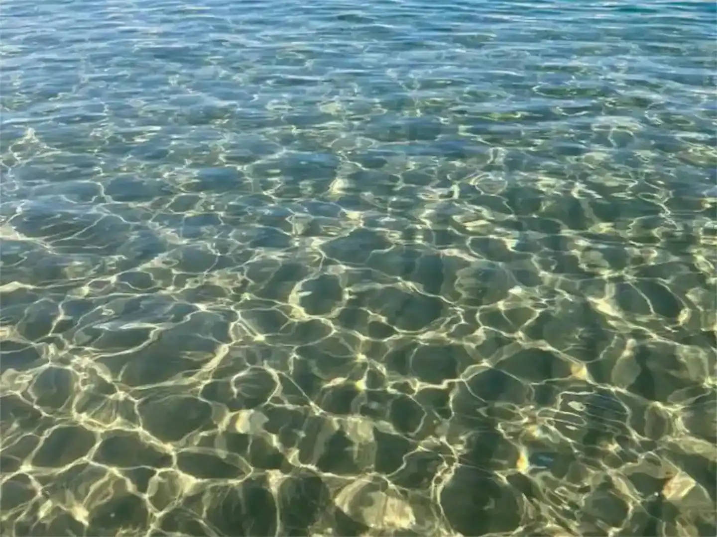 Swimming pool of Flat for rent in Las Marinas / Les Marines
