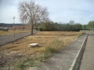 Terreny residencial en venda a Calle Castaño, imagen 3