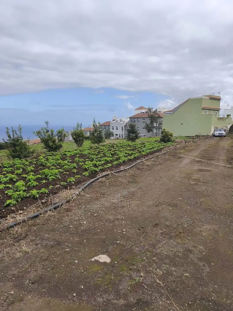 Terrain rustique à vendre à La Perdoma - San Antonio - Benijos, imagen 5