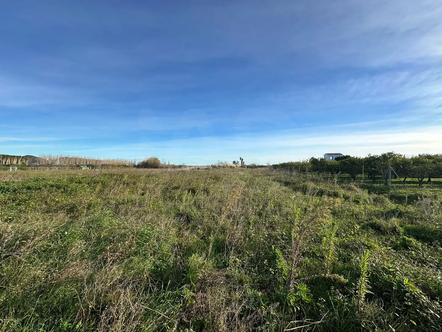 Lands and plots for sale in Pego, imagen 10