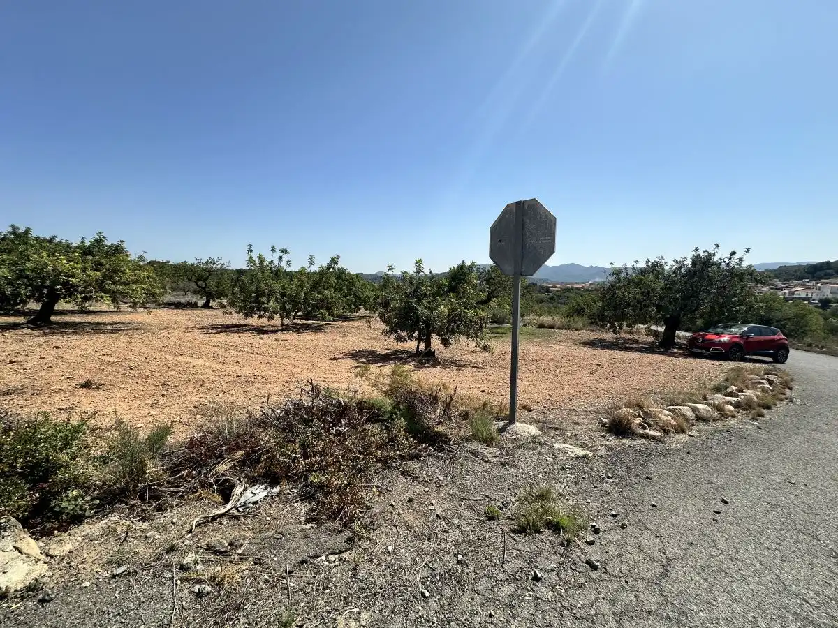 Terreno residencial en venta en Alfara de la Baronia, imagen 7