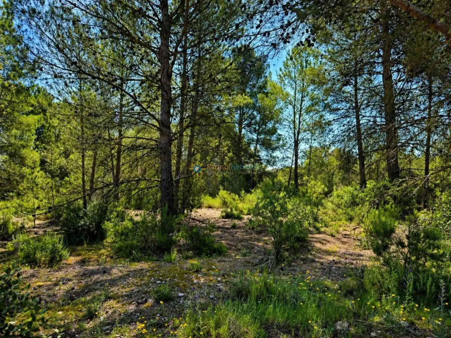 Terreno en venta en Bellús