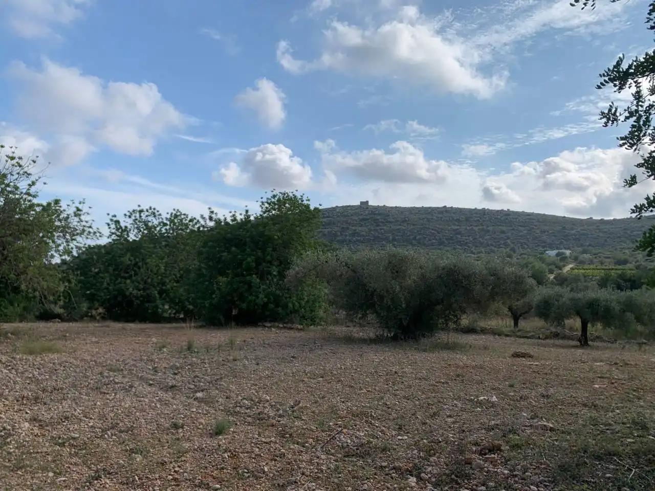 Rural land for sale in Calle POLIGONO 43, PARCELAS 350, 353,559, imagen 10
