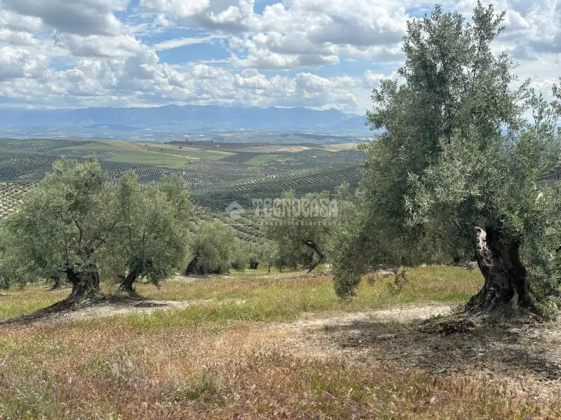 Terreni e lotti in vendita a Torreperogil, imagen 6