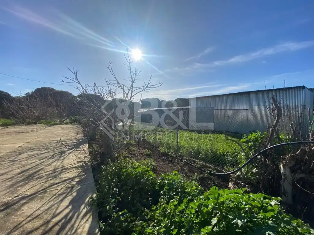 Finca rústica en venta en Gibraleón