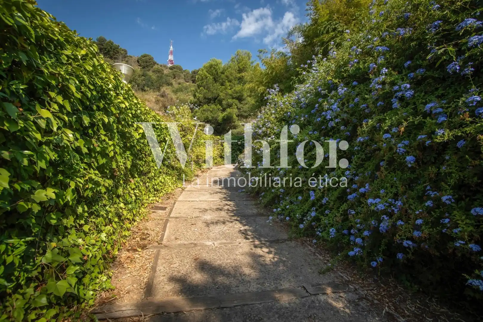 Chalet en venta en Les Corts, imagen 18
