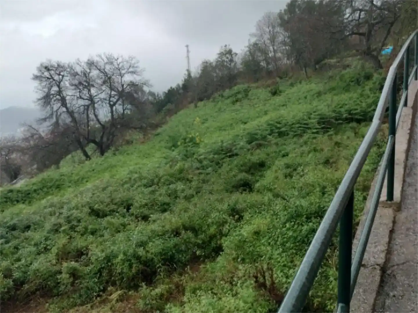 Finca rústica en venda en La Orotava