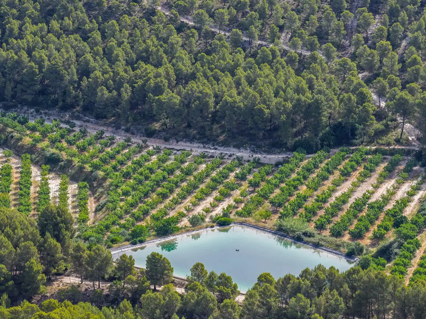 Finca rústica en venta en Moratalla con Piscina