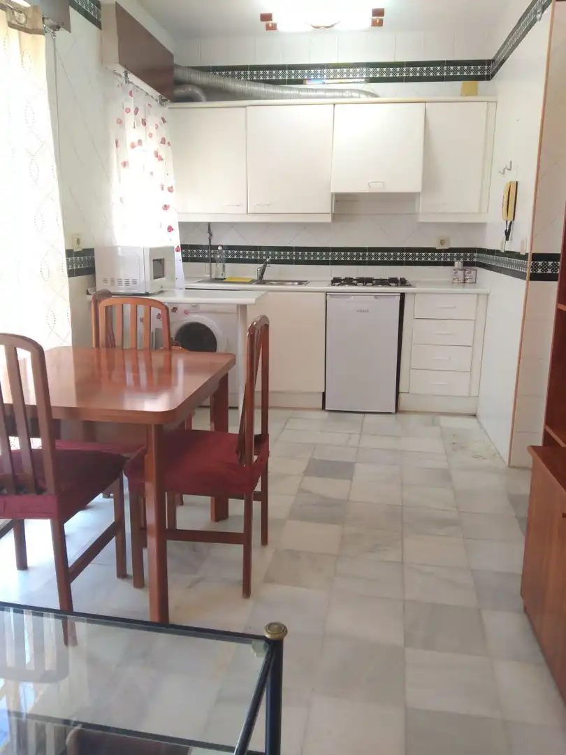 Apartments for rent in Centro