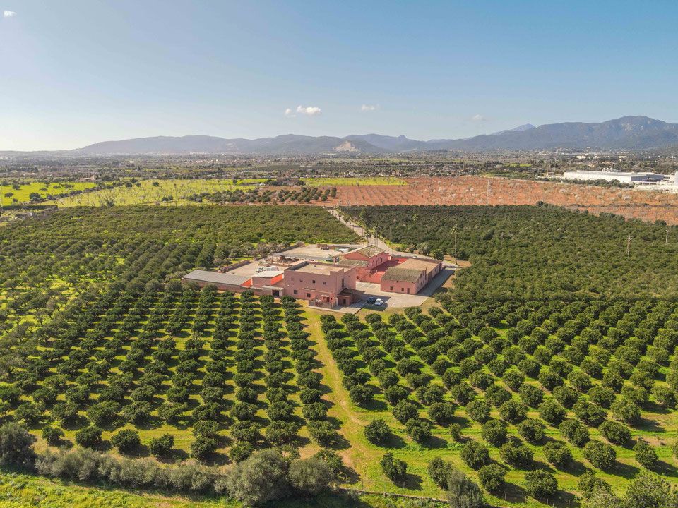 Garten von Residential zum Verkauf in Marratxí