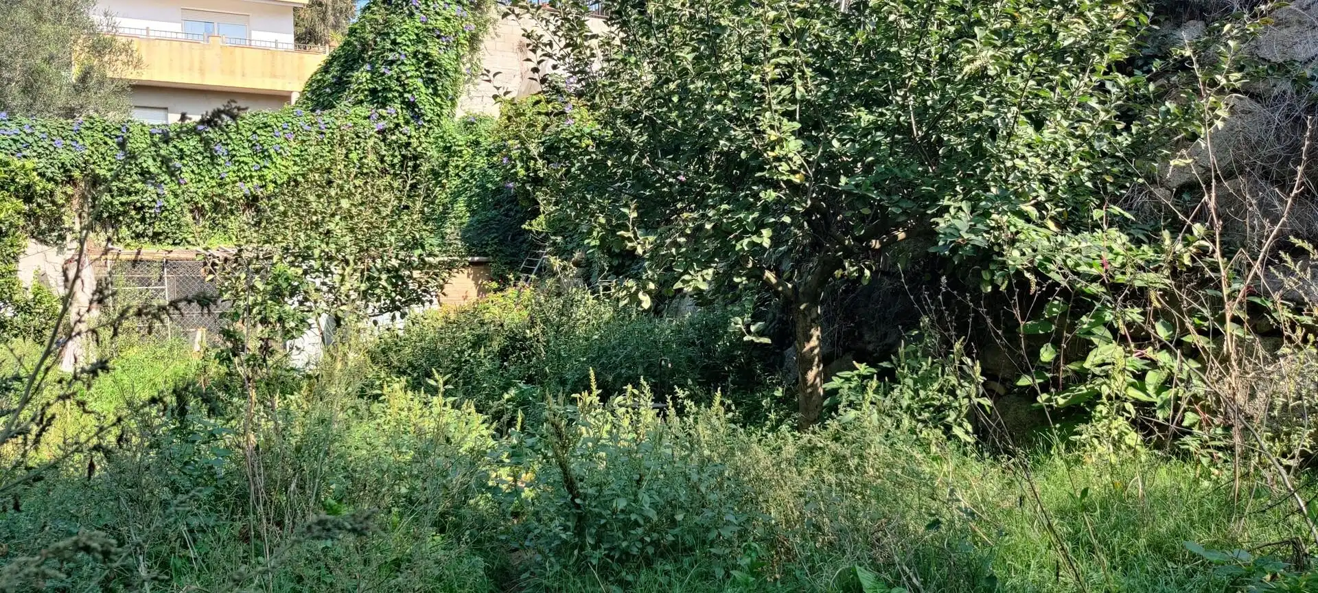 Terreno residenziale in vendita a Can Massuet del Far, imagen 15