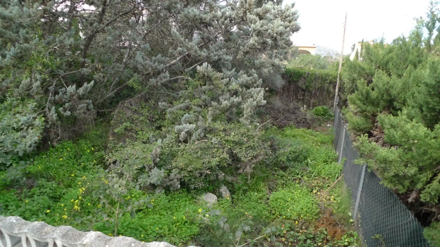 Terrenos y solares en venta en Orba, imagen 12