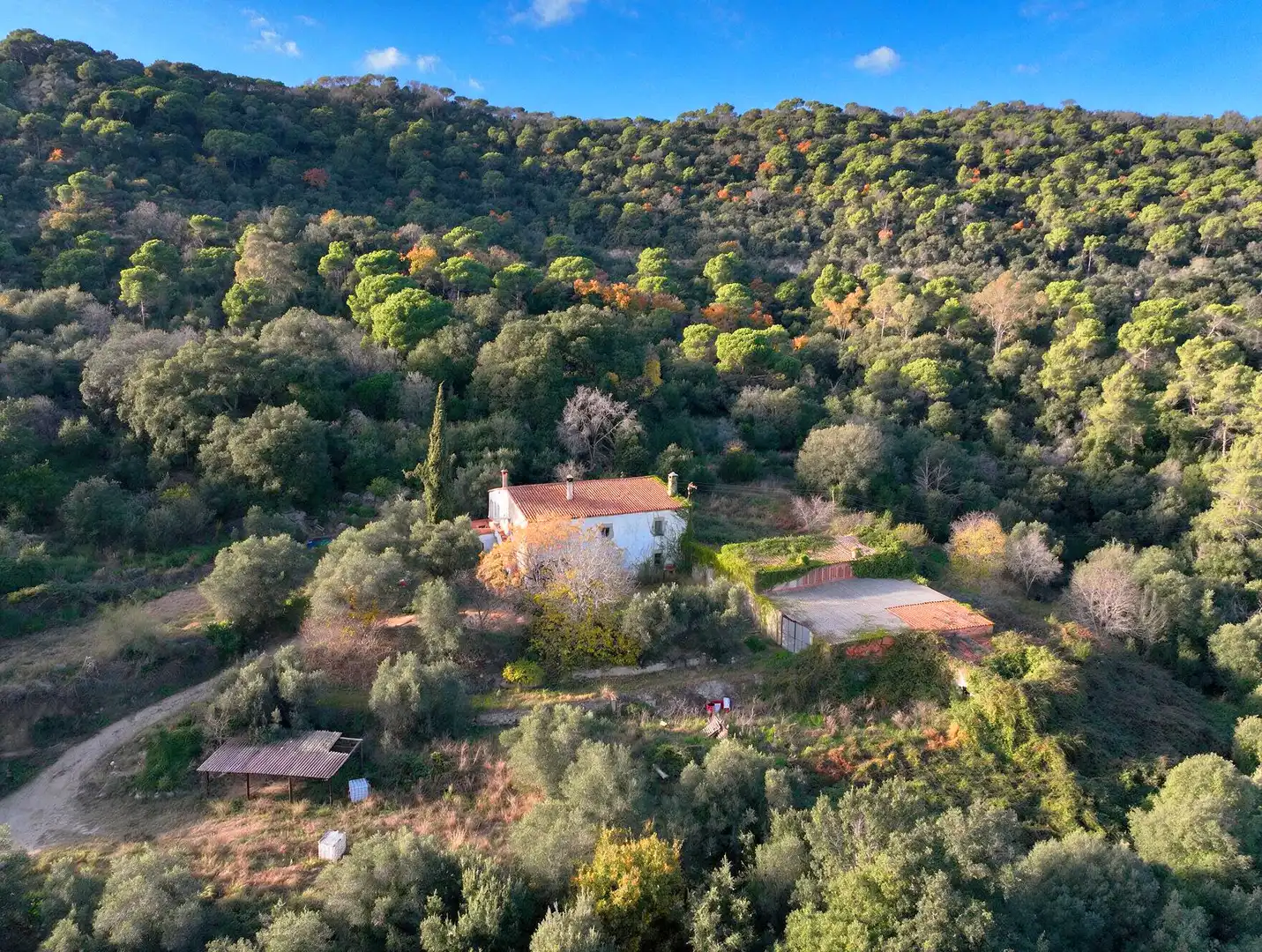 Maison rustique avec jardin à vendre à Carrer Sant Andreu 11, imagen 3