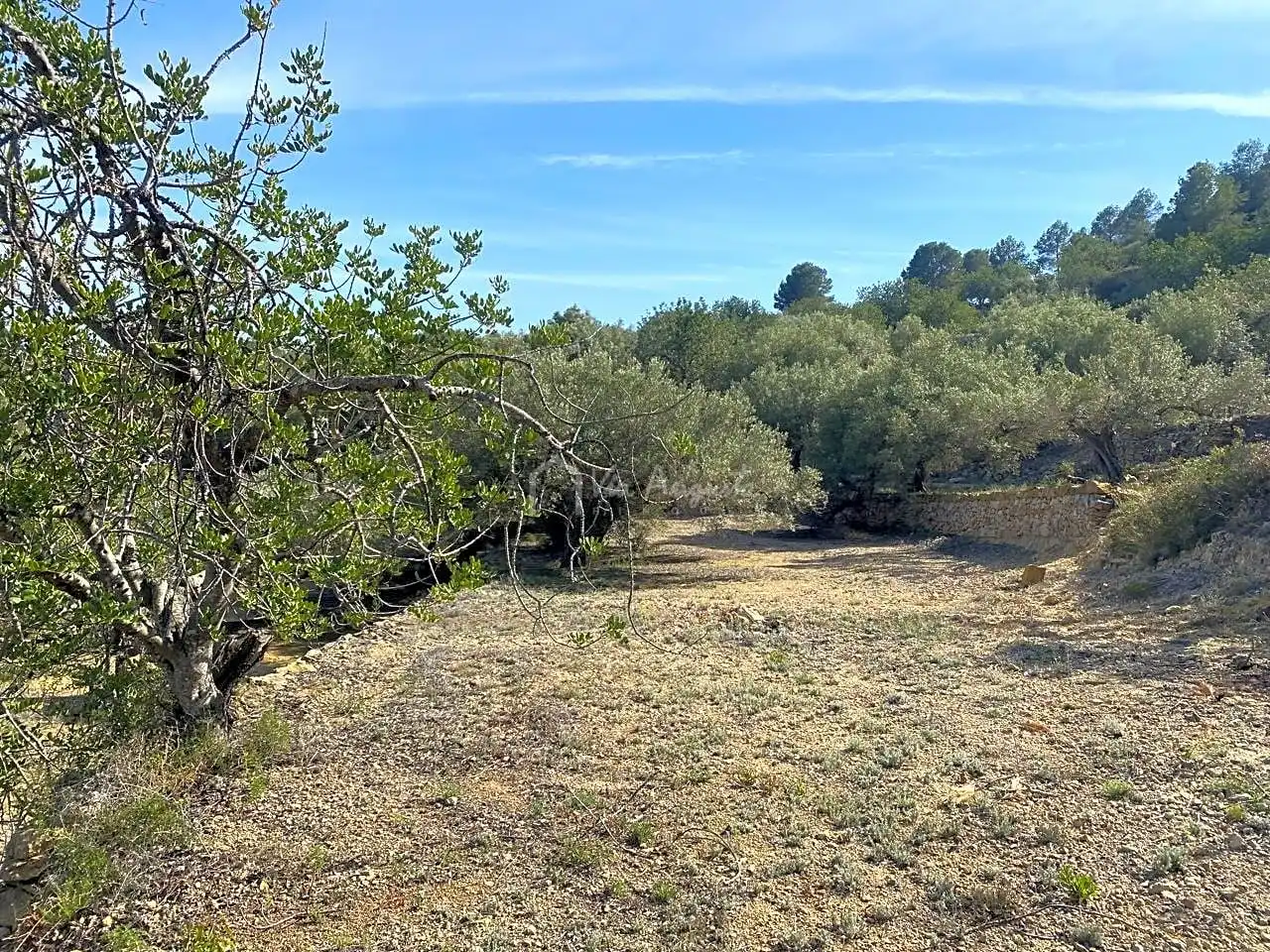 Terreno rustico in vendita a Puig Moltó, imagen 25