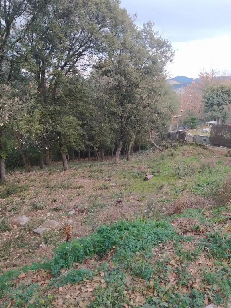 Residential land for sale in Gualba, imagen 3