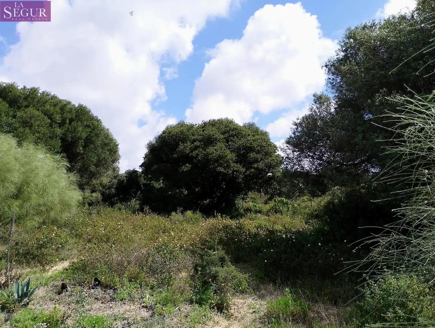 Terreno rustico in vendita a Barbate ciudad