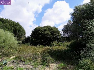 Rustikales Grundstück zum Verkauf in Barbate ciudad