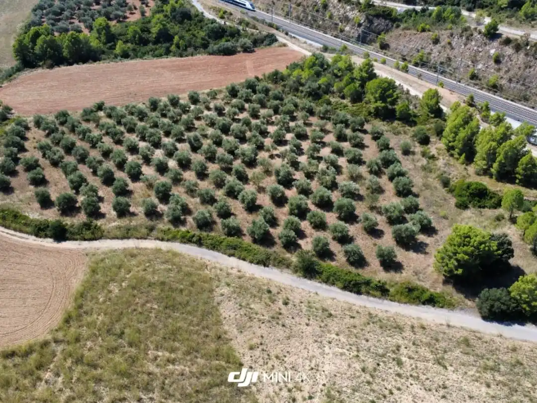 Terreno rustico in vendita a N-IIa 11
