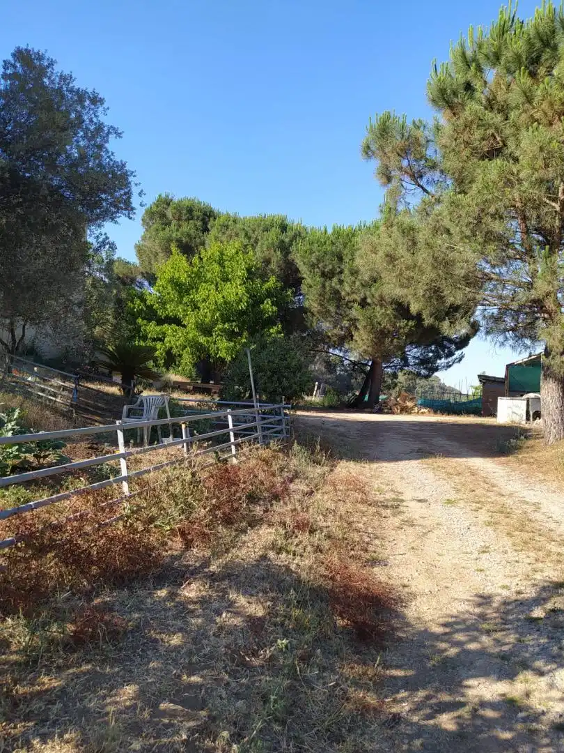 Finca rústica en venta en Riells i Viabrea