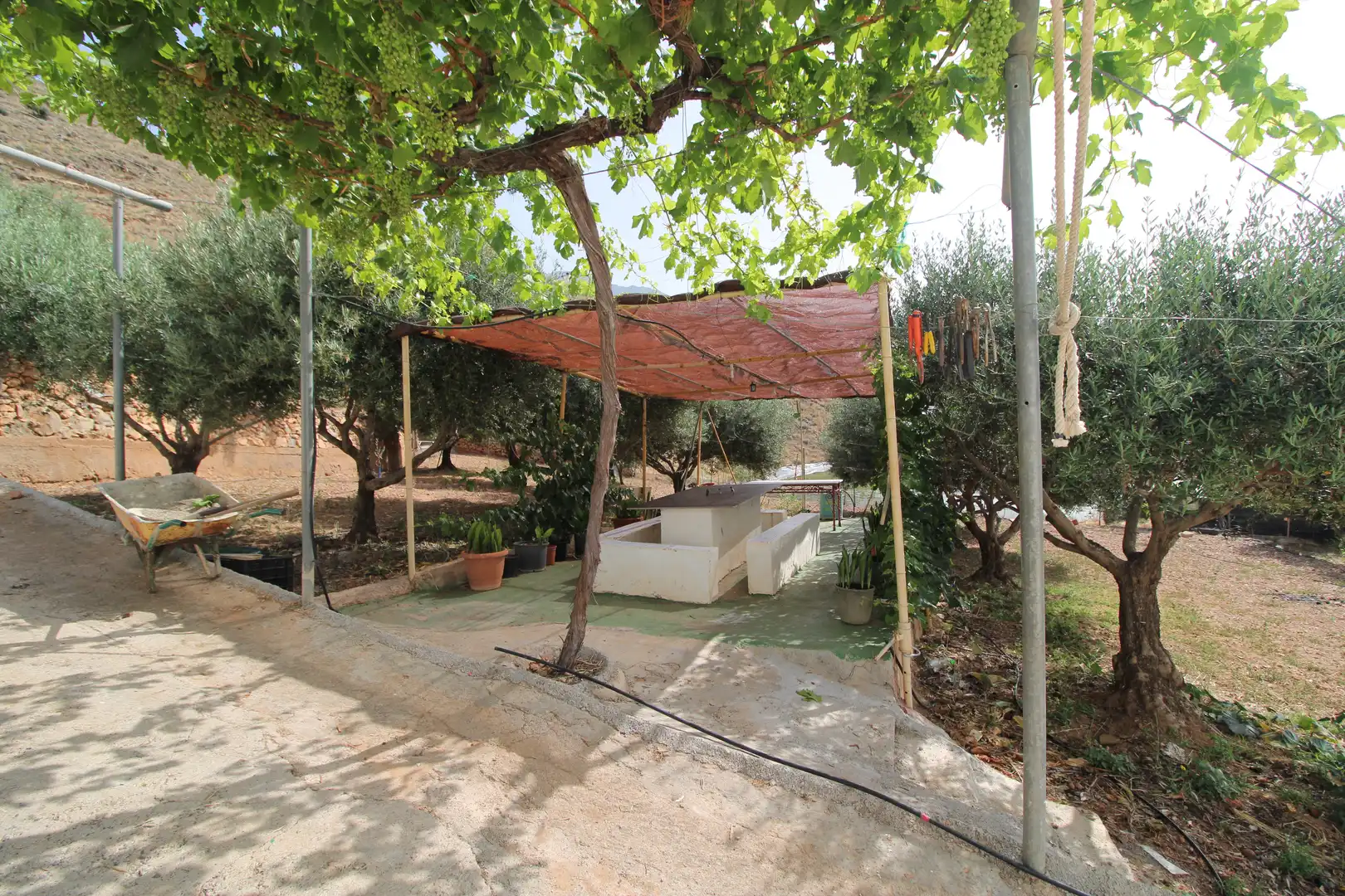 Jardí de Finca rústica en venda en Dalías
