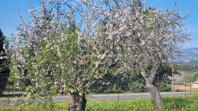 Terreno residencial en Venta en Gran Via de Colom