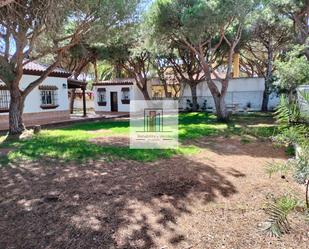 Jardí de Casa o xalet en venda en Chiclana de la Frontera amb Jardí privat, Traster i Forn