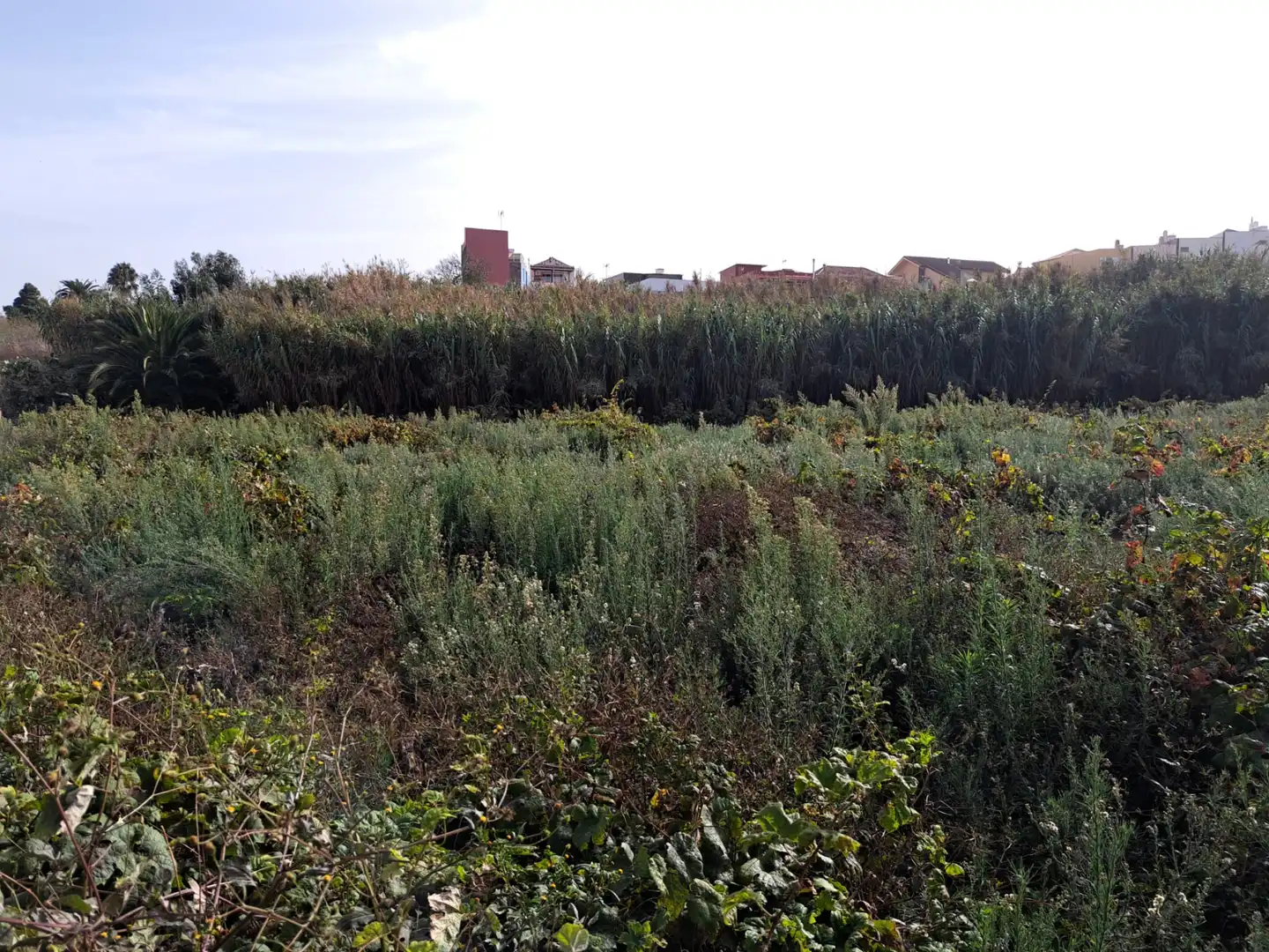 Rural land for sale in Tacoronte - Los Naranjeros, imagen 4