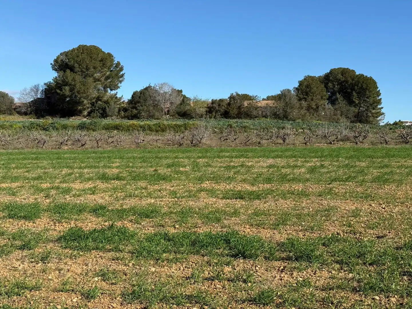 Finca rústica en venda a Puigpelat
