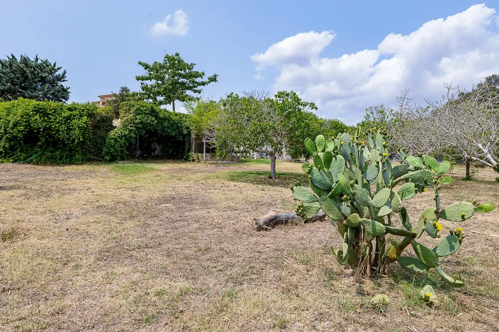 Casa o chalet en venta en Inca con Aire acondicionado, Jardín privado y Terraza