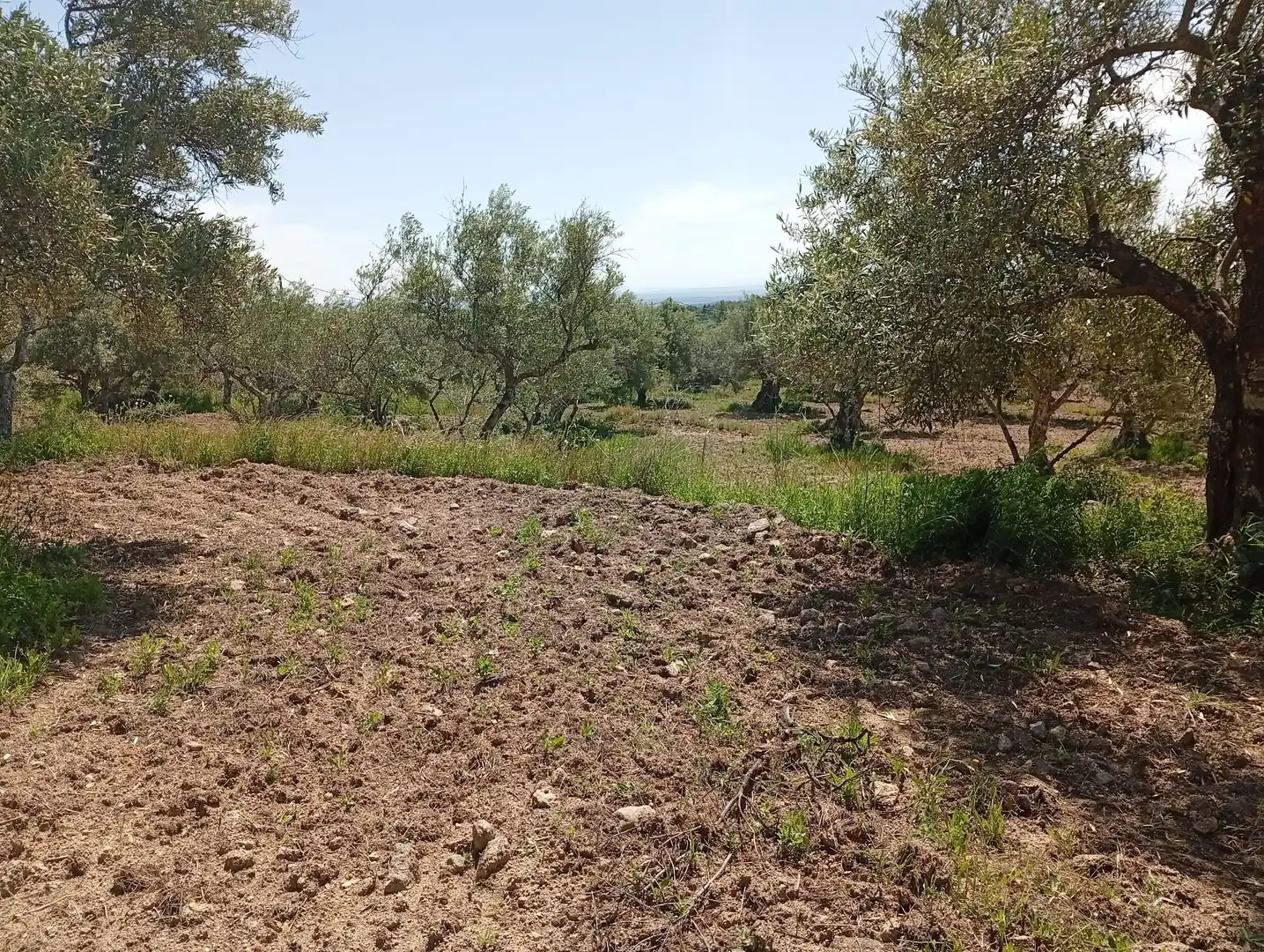 Terreni e lotti in vendita a Villanueva de la Vera, imagen 22
