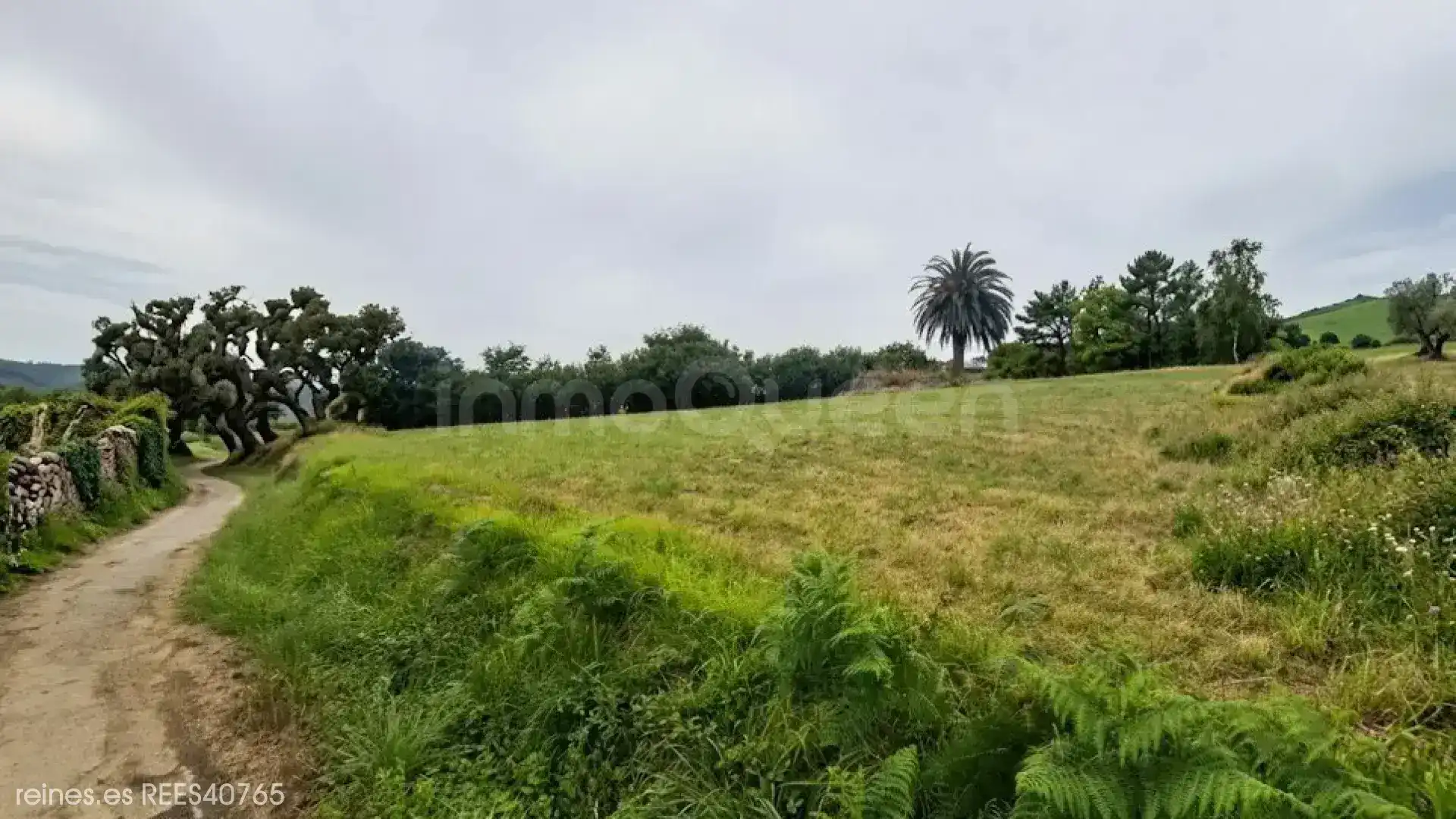 Residential for sale in Castropol